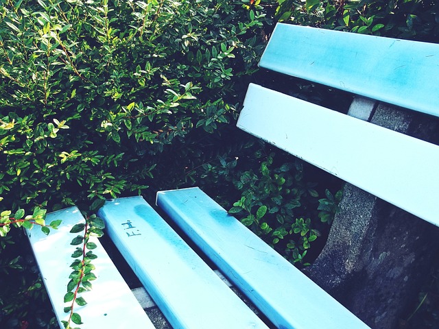 就成功地利 就成功地利