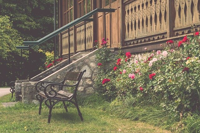 的国际竞争 的国际竞争