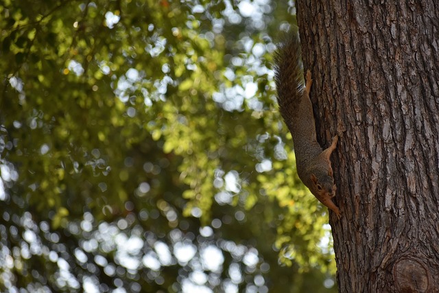 文化和民族 文化和民族