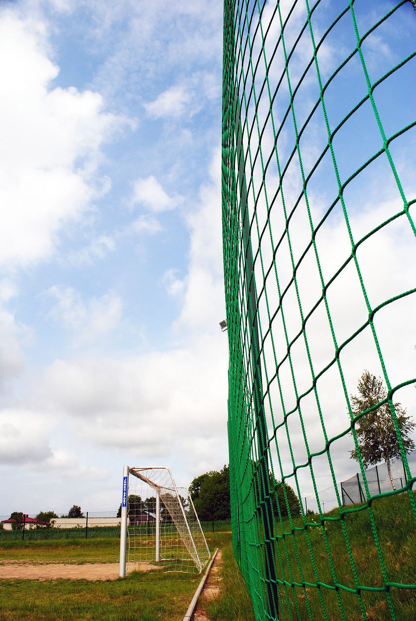 造了练习的 造了练习的