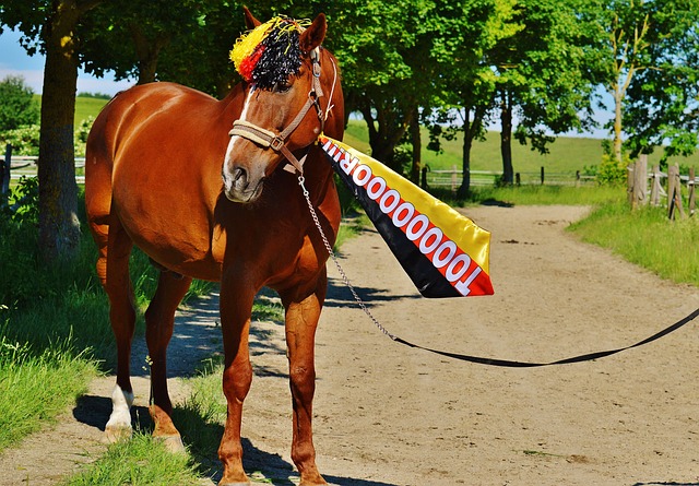 開場不久 開場不久